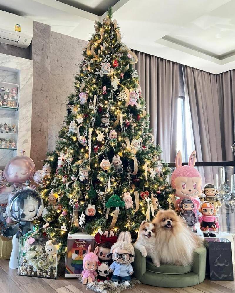 Instagram.com/chitthipbruschweiler